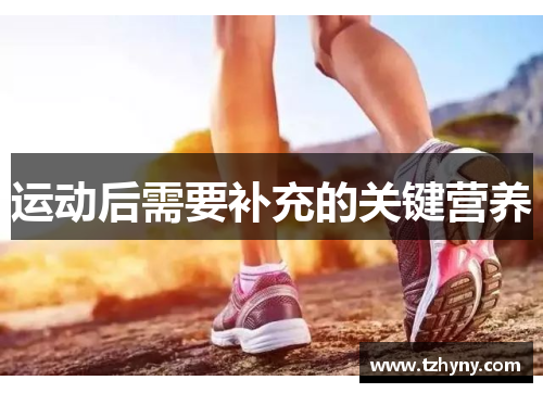 运动后需要补充的关键营养